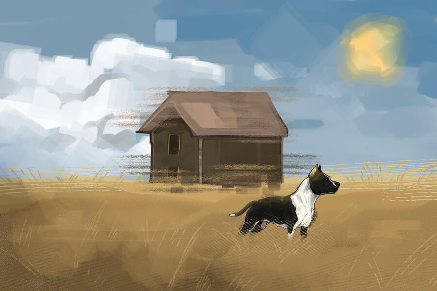 Untitled